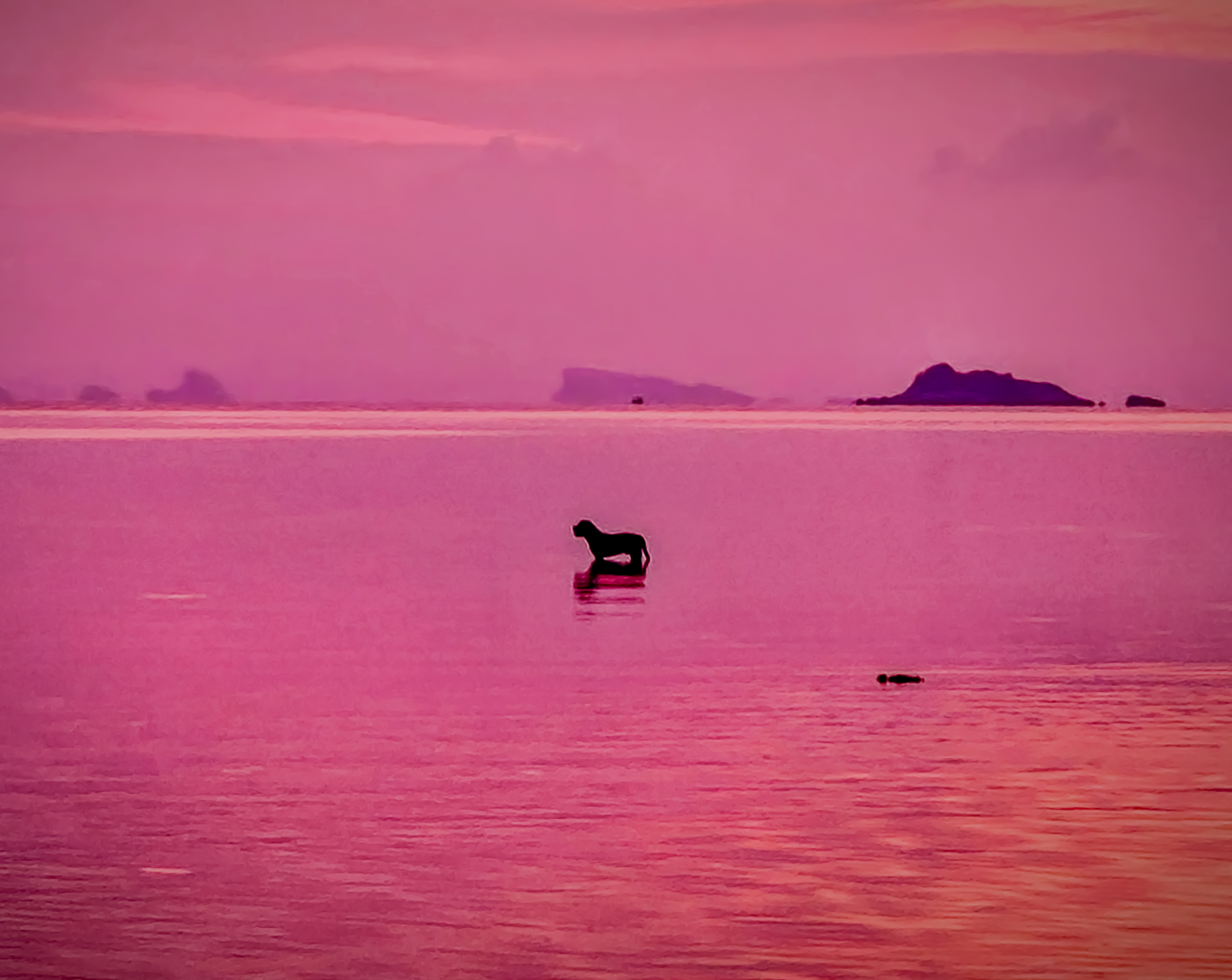 Ne soyez plus seul face à vos défis